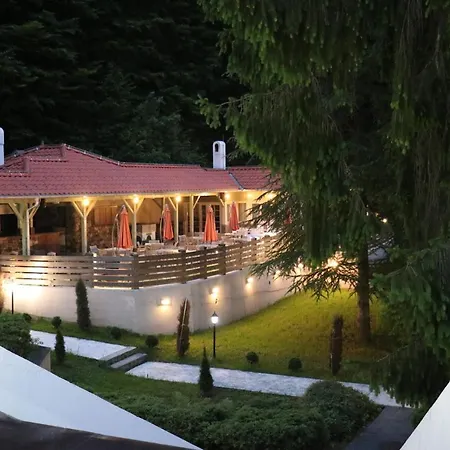 Trayal Κρούσεβατς