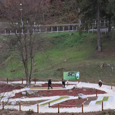 Trayal Κρούσεβατς