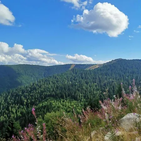 Ξενοδοχείο Trayal *