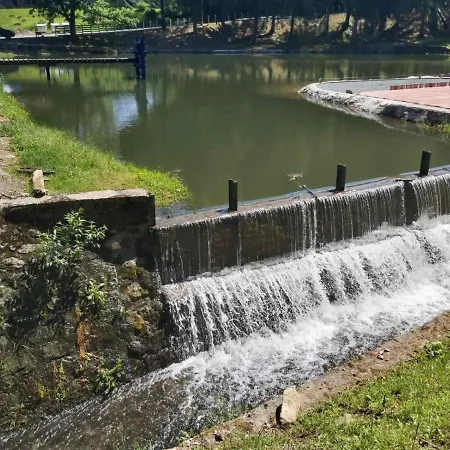 Trayal * Κρούσεβατς