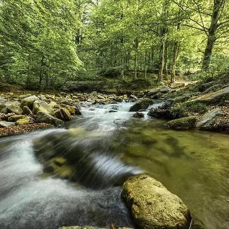 Ξενοδοχείο Trayal *